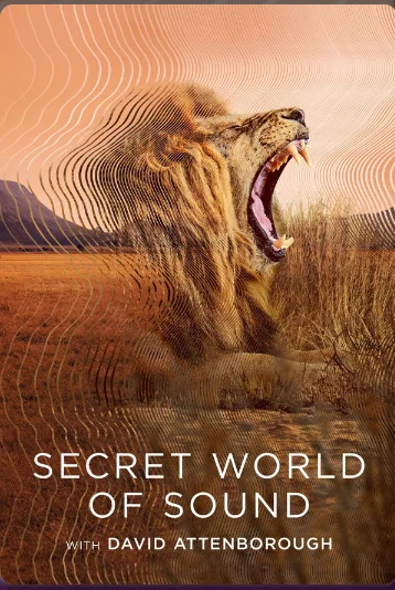 Immagine della docu-serie Il mondo segreto dei suoni con David Attenborough